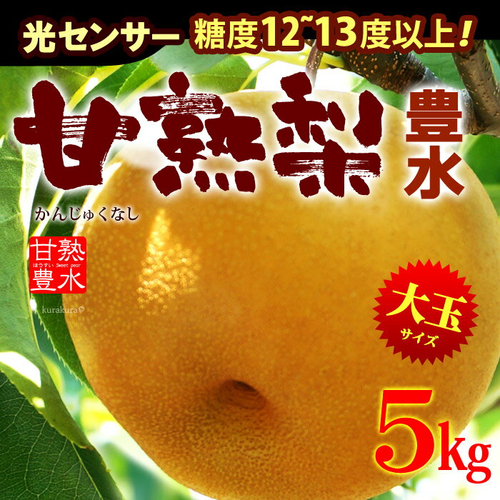 甘熟豊水梨3L-5L(5kg)産地はお任せ 糖度12度以上の大玉豊水梨をお届け 送料無料