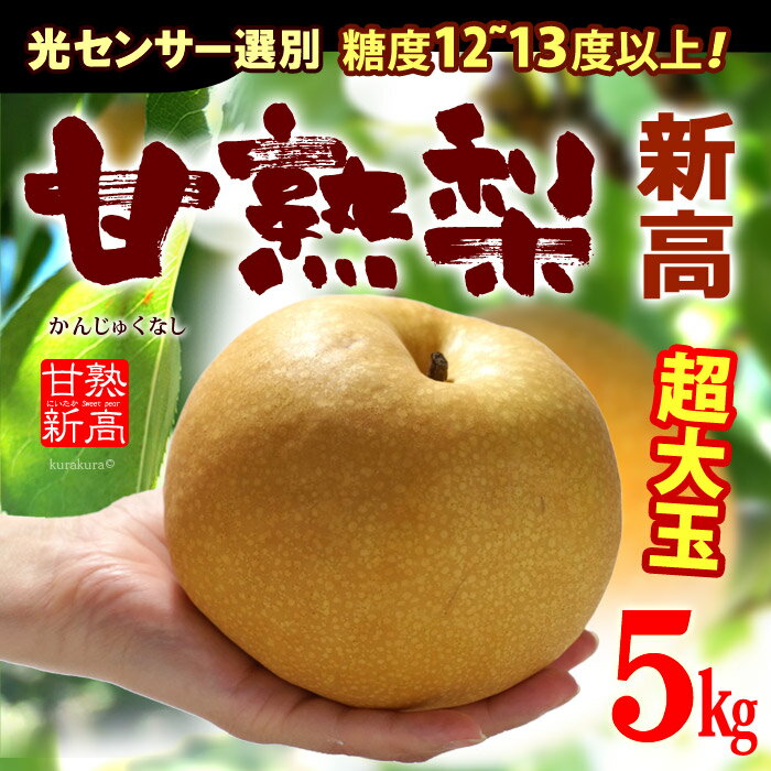 甘熟新高梨7L(約5kg)産地はお任せ 秀品 糖度12度以上の超特大新高梨 送料無料