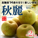 秋麗梨(6玉前後/2kg)熊本産 青梨の新品種 高糖度和梨 ...