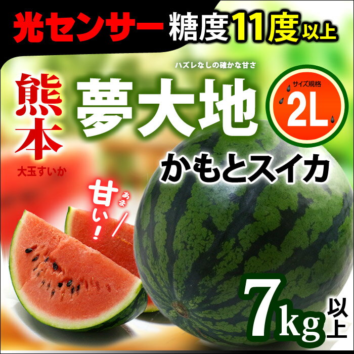 夢大地 鹿本のスイカ(2L×1玉)熊本産 すいか 西瓜 糖度11度以上選果 光センサーによ…...:ookiniya:10000762