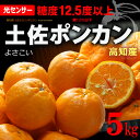 土佐よさこいポンカン 特選(約5kg)高知産 糖度センサー選果12.5度以上 ぽんかん ポンカン 5kg 贈答 ギフト 柑橘 椪柑 送料無料