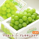 マスカット・オブ・アレキサンドリア(700g前後/1房)岡山産 ぶどう 食品 フルーツ 果物 ブドウ マスカット 葡萄 送料無料