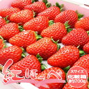 紅ほっぺいちご(約700g/化粧箱)愛媛/徳島産 贈答用 苺 イチゴ 送料無料