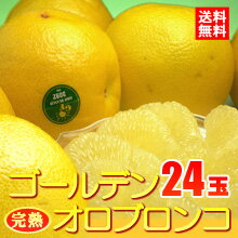 ̵괰ϥǥ󥪥֥󥳡24̡!!ʿ16٤κʤѡ졼ץե롼ĥǥ󥪥֥󥳡24̡