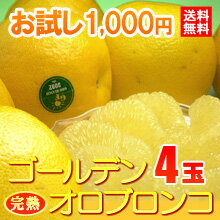 ̵1,000ߥߥߡۤϥǥ󥪥֥󥳡4̡!!괰Ϥ16٤κʤѡ졼ץե롼ĥǥ󥪥֥󥳡4̡