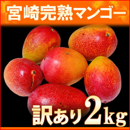 訳あり宮崎マンゴー2kg前後（※1900g〜2100g）