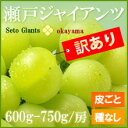 訳あり瀬戸ジャイアンツ（1房）訳あり瀬戸ジャイアンツ（1房）皮ごと種なしの人気ブドウ「桃太郎ぶどう」と同品種♪規格外につき激安販売