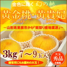 黄金桃・黄貴妃（大玉3kg）