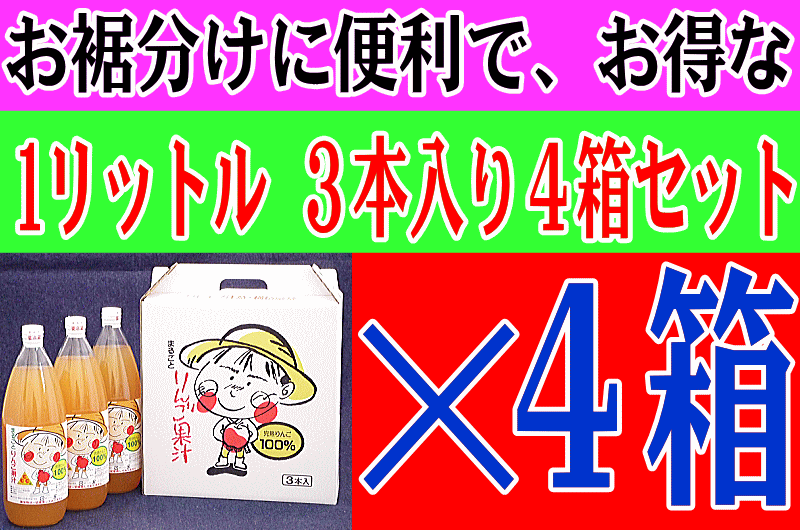 まるごとりんご果汁　1リットル3本入4箱セット【100％無添加ストレート青森りんごジュース、常温送料無料】【RCPmara1207】