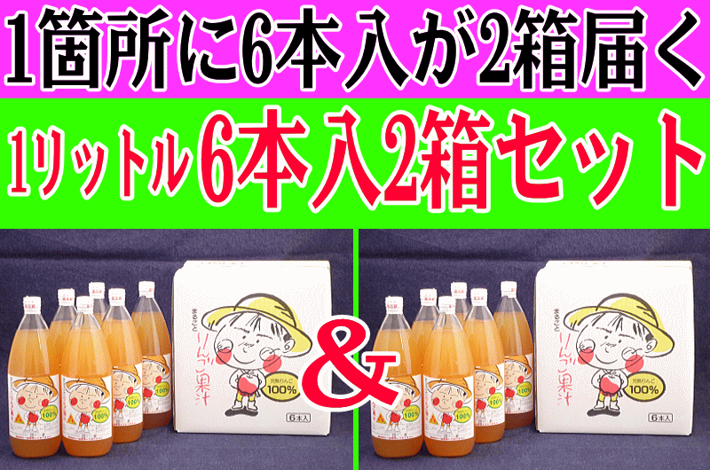 まるごとりんご果汁　1リットル6本入2箱セット【100％無添加ストレート青森りんごジュース、常温送料無料】