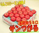 サンつがる 家庭用 5キロりんごのトップバッター！早生品種のりんごの中でも、癖のない甘さが魅力的ッ！