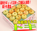 トキ 家庭用 5キロ早期予約開始！青森県産味が濃い10月代表りんご全国一律