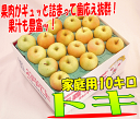 トキ 家庭用 10キロ早期予約開始！青森県産味が濃い10月代表りんご全国一律