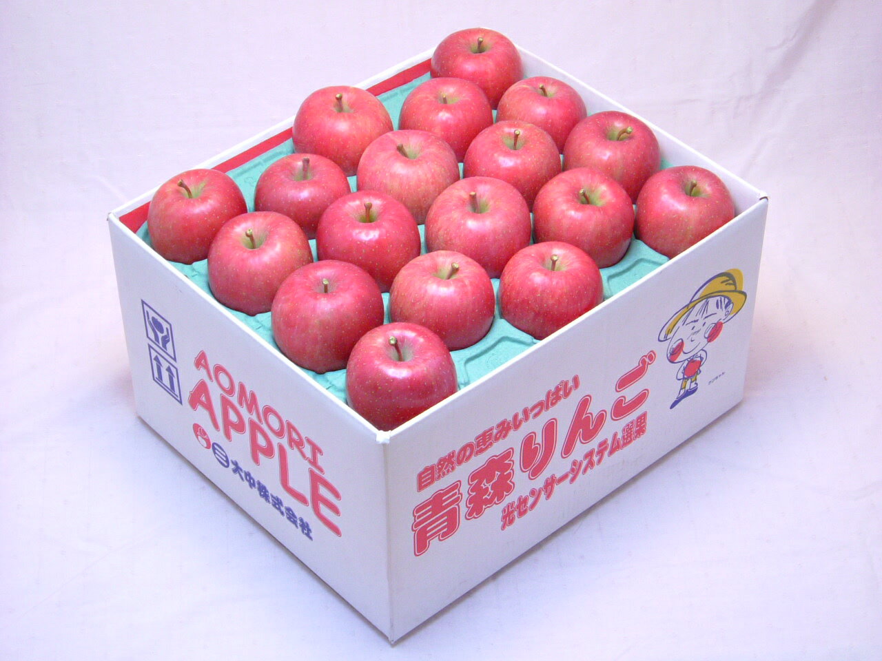 りんご専用冷蔵庫で貯蔵！糖度13度以上の太陽の恵みイッパイ！糖度13度保証 サンふじ 家庭用10キロ