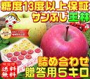 【11月下旬より順次発送】糖度13度以上「サンふじ」「王林」詰め合わせ【贈答用 5キロ】内部品質保証1箱で2つの味わい毎日のフルーツに♪♪りんごの本場青森県から... ランキングお取り寄せ