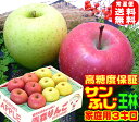 ★高糖度サンふじ王林 詰合せ家庭用 3キロ常温便送料無料【ご注文順に順次発送中!】1箱で2つの味わい毎日のフルーツに青森りんごりんごの本場青森県から産地直送訳あり Apple 内部品質保証 11 甘い 健康コールドプレス・スムージー おいしい セット