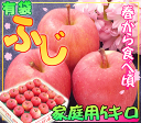 糖度13度保証「りんごの横綱 有袋ふじ家庭用5キロ」りんごの本場青森県から、今から食べ頃を迎える有袋ふじを産地直送♪毎日のフルーツや贈り物にもピッタリ♪全国一律青森りんご光センサー選果機で高糖度保障♪低酸素＆低温保存で歯ごたえシャキシャキ♪訳ありで、お得ッ！