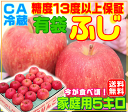 A【常温便送料無料】グルメ大賞受賞品種 有袋ふじ 家庭用 5...