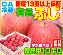 【常温便送料無料】グルメ大賞受賞品種【CAりんご冷蔵貯蔵】糖度13度以上保証今が食べ頃! 有袋ふじ家庭用10キロりんごの本場青森県から産地直送自宅で食べる毎日のデザート!青森りんご・ふじりんご【お中元】【RCP】楽天【楽ギフ_のし】