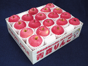 　むつ　家庭用　5キロ イギリスの品評会では「キングオブアップル」と言われた高級りんご！「数量限定」