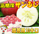 【11月中下旬発送】【送料無料】糖度13度保証サン
