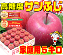 糖度13度以上保証サンふじ 家庭用5キロりんごの本場青森県から産地直送♪地域特産品賞2013受賞！青森県産毎日のフルーツや贈り物にもピッタリ♪楽天全国一律 平成25年産！シャキッジューシィ〜！ 糖度13度以上の太陽の恵みイッパイ 訳ありで、お得っ！