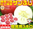 【11月下旬より順次発送】早割【厳選された特選品だけを使用】糖度13度以上保証 サンふじ贈答用 3キロお世話になった方への贈り物に!りんごの本場青森県から産地直送♪ふじりんご りんご 林檎 Apple フルーツ【お歳暮】【RCP】【2017】