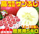 常温便送料無料【11月下旬から12月上旬に順次発送】高糖度 サンふじ 贈答用 5キロ厳選