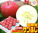 IO5x xTӂƒp 5L퉷  11{菇 XԐlCi āI Apple ÂXY Yn ӂ t[c 11 󂠂  Pro NR[hvXEX[W[ N  11