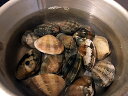 熊本の大粒あさり 300g