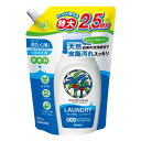 サラヤ ヤシノミ洗たく用洗剤 コンパクト 詰替 900ml