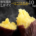紅はるか10kg Lサイズ 鹿児島産