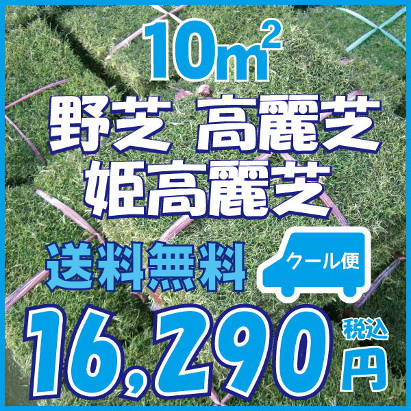 【クール便】【送料無料】芝生10束！選べる3品種　姫高麗芝　高麗芝　野芝　10平米　高品質・新鮮　やっぱり人工芝より天然芝！　ガーデニングDIY