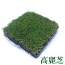 芝生で屋上緑化【エコカーペット】-高麗芝-芝生で屋上緑化【エコカーペット】-高麗芝-