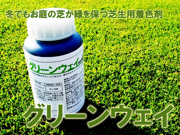 芝生着色剤 グリーンウェイ 1L 冬でもお庭の芝生が緑を保つ【RCP】...:oosumi:10000489