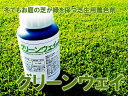 芝生着色剤 グリーンウェイ 500ml 冬でもお庭の芝生が緑を保つ