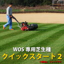 オーバーシード応援価格!冬に緑の★芝生の種:クイッ