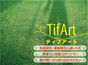 ★芝生 ティフアート★（ティフトン系）　1平米　サッカー場や校庭緑化に強く美しい芝生ティフアート(ティフトン系) は、芝刈りの少なくダメージからの回復が早い密度の高いスポーツターフ。