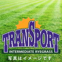 芝生の種(冬も緑) トランスポート 1kg (オ