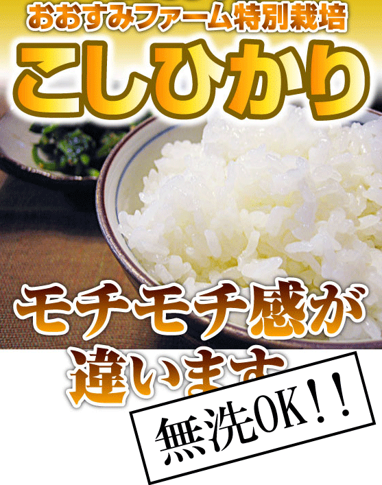 【新米に変更♪】24年産特別栽培で育てた新米コシヒカリお試しセット450g（3合）×2袋（オマケ付)♪【24年産】【送料無料】【無洗米】【こしひかり】【米】