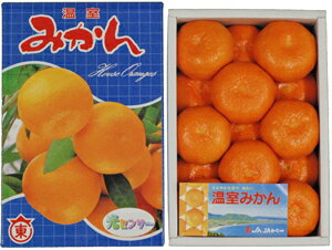 【柑橘】　ハウスみかん　1箱（1.2kg）　化粧箱入り　佐賀産　【送料無料】