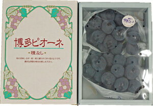 【送料無料・お中元特集】【ぶどう】　博多ピオーネ　1箱（約800g）　化粧箱　福岡産　【日付指定可能】【時間帯指定可能】