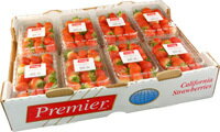 ストロベリー【アメリカ産】1箱16パックいちご・イチゴ・苺