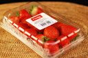 ストロベリー【アメリカ産】1パック約15玉入り　いちご・イチゴ・苺