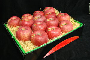 ڲȢۤդ14̡16̡5kgեȡ£ˤ⤪