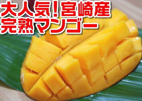 ڵܺޥ󥴡۹񻺴ϥޥ󥴡κǹۤΥޥ١800g1