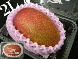 ڵܺޥ󥴡۹񻺴ϥޥ󥴡κǹ2L1