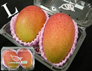 ڵܺޥ󥴡۹񻺴ϥޥ󥴡κǹL2