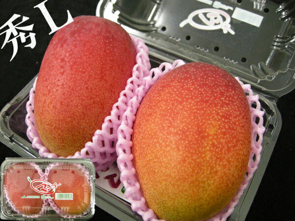 ڵܺޥ󥴡۹񻺴ϥޥ󥴡κǹL2450g