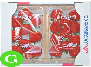 ʡȤβ͡ɤϤ¿ޤۥΤʤˡޤG2ѥå1Ȣ